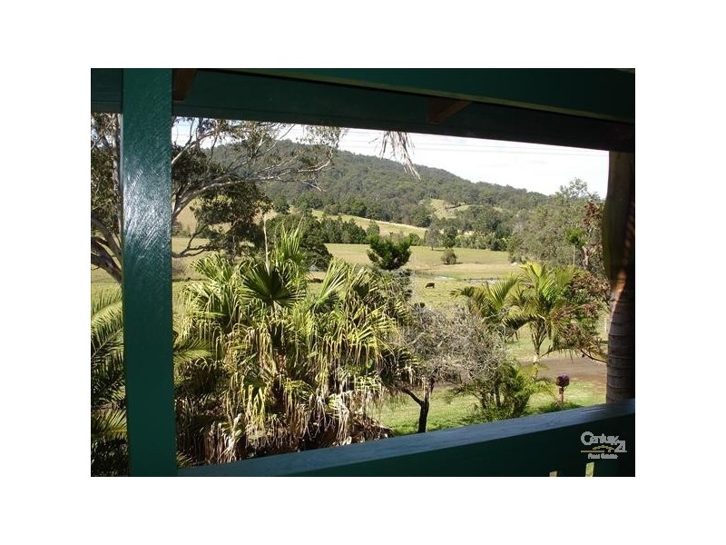 Homeleigh NSW 2474