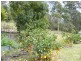Roseberry Creek NSW 2474