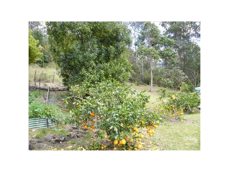 Roseberry Creek NSW 2474