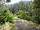 Roseberry Creek NSW 2474