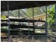 Eden Creek NSW 2474
