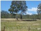 Eden Creek NSW 2474