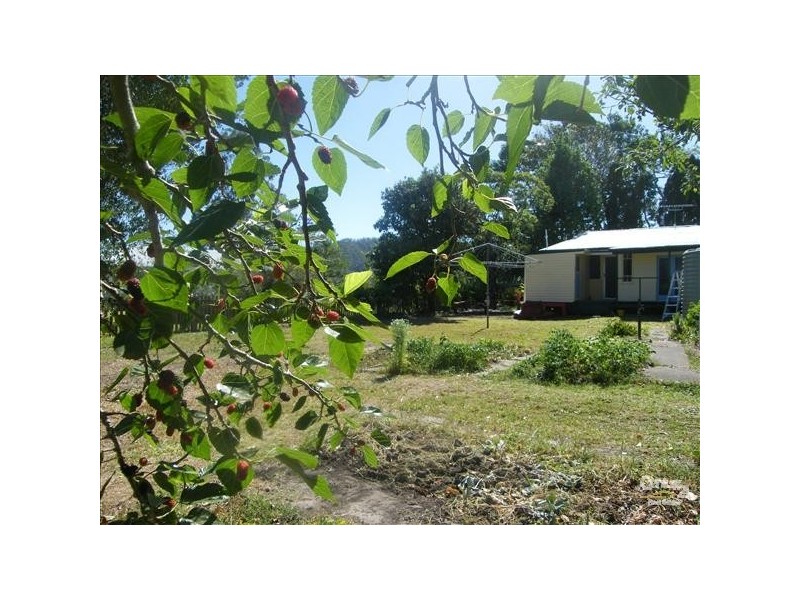Wiangaree NSW 2474
