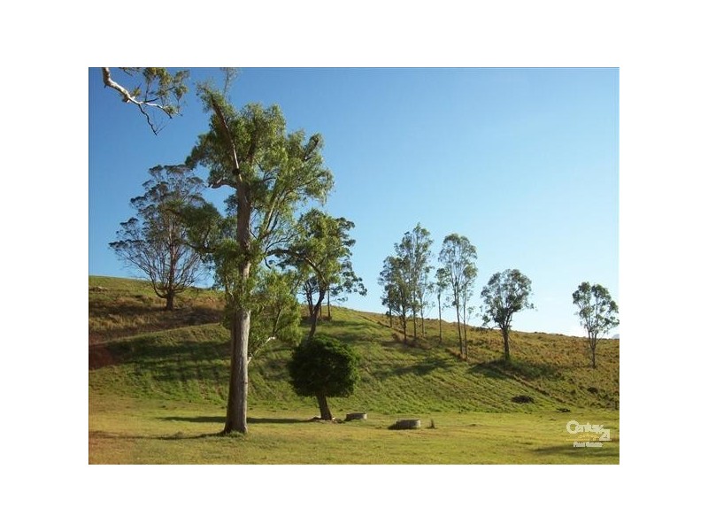Collins Creek NSW 2474
