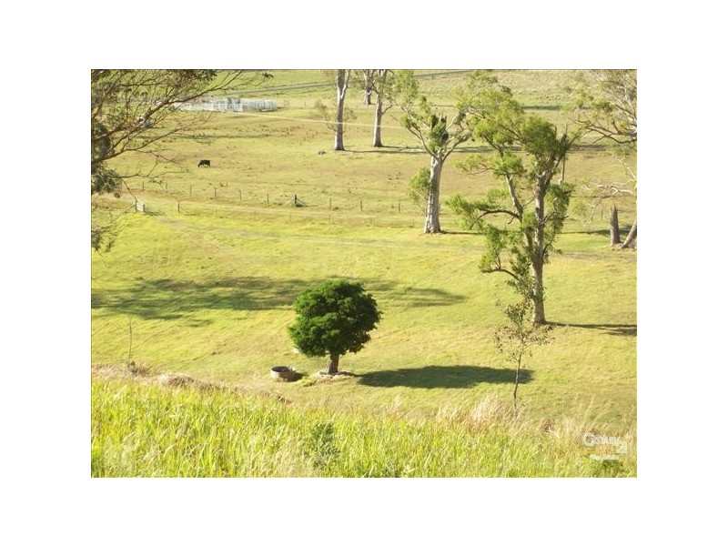 Collins Creek NSW 2474