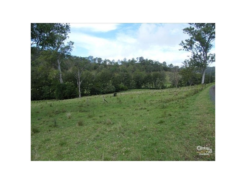 The Risk NSW 2474