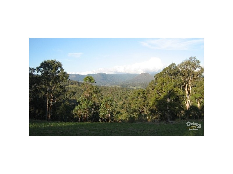 The Risk NSW 2474