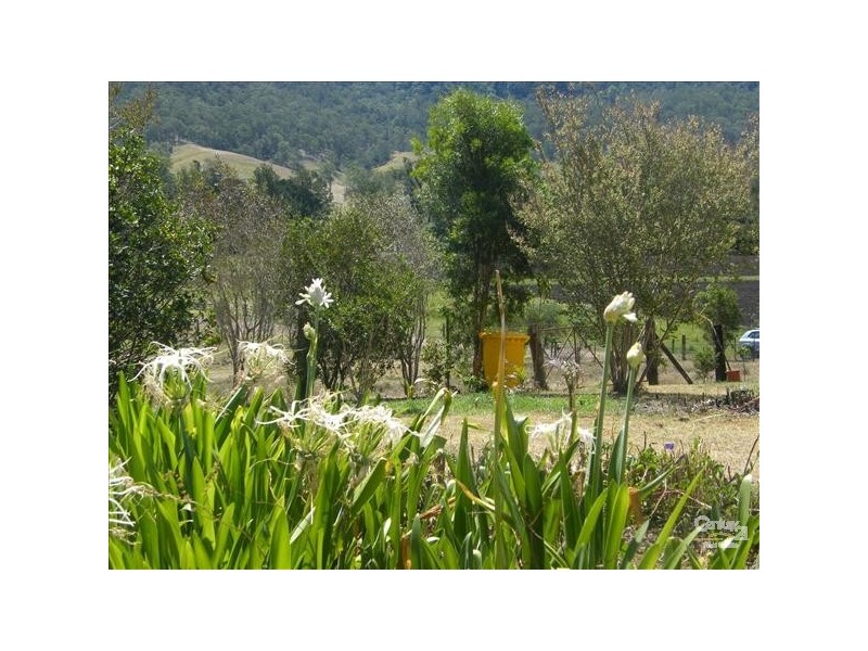 Green Pigeon NSW 2474