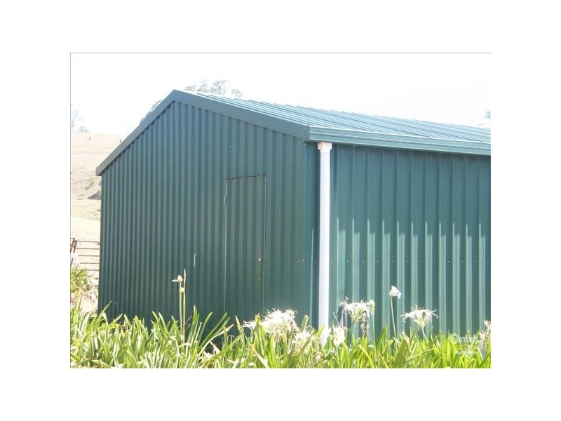 Green Pigeon NSW 2474