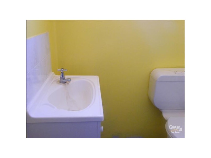 Green Pigeon NSW 2474