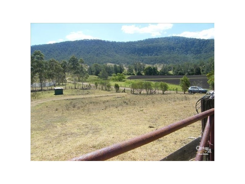 Green Pigeon NSW 2474