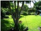 Kyogle NSW 2474