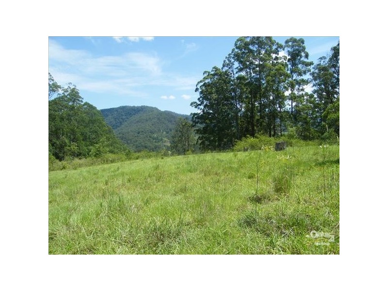 Green Pigeon NSW 2474