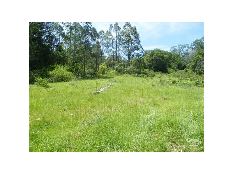 Green Pigeon NSW 2474