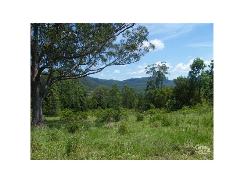 Green Pigeon NSW 2474