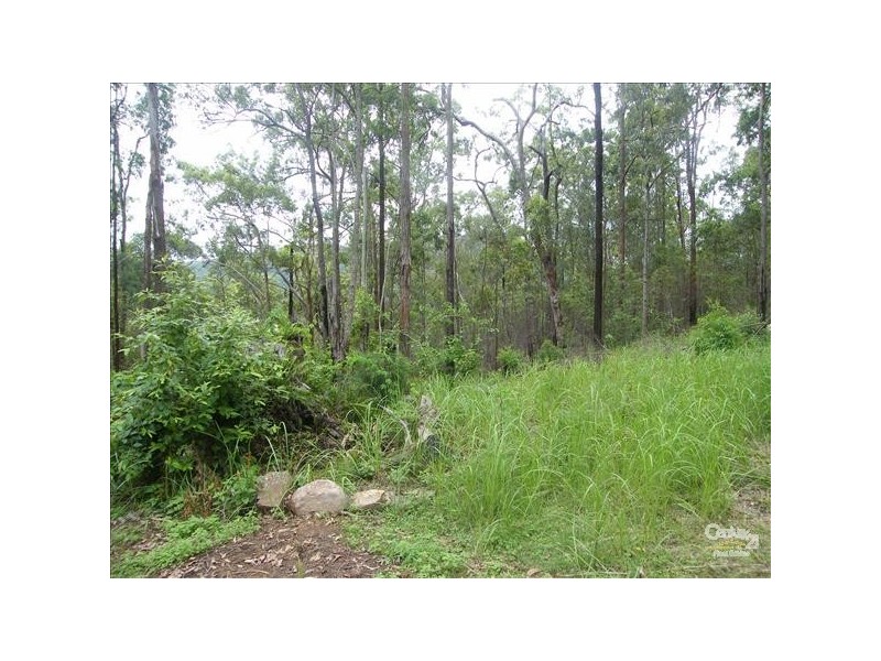 Grevillia NSW 2474