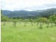 Eden Creek NSW 2474