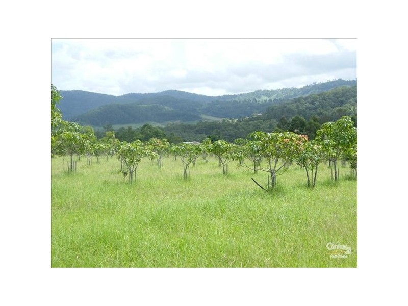 Eden Creek NSW 2474