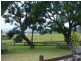Kyogle NSW 2474