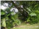 Kyogle NSW 2474
