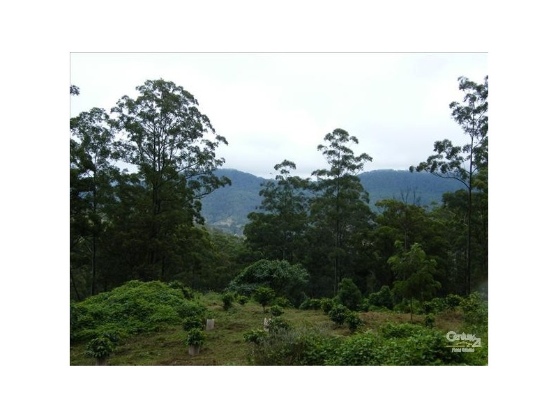 Loadstone NSW 2474