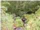 Loadstone NSW 2474
