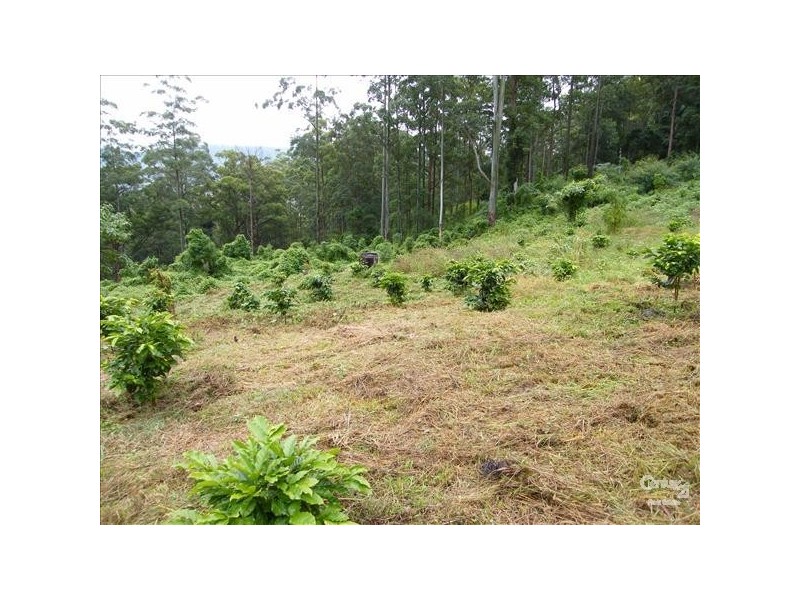 Loadstone NSW 2474