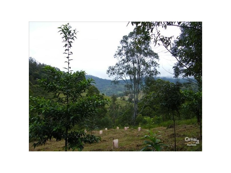 Loadstone NSW 2474