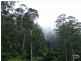 Loadstone NSW 2474