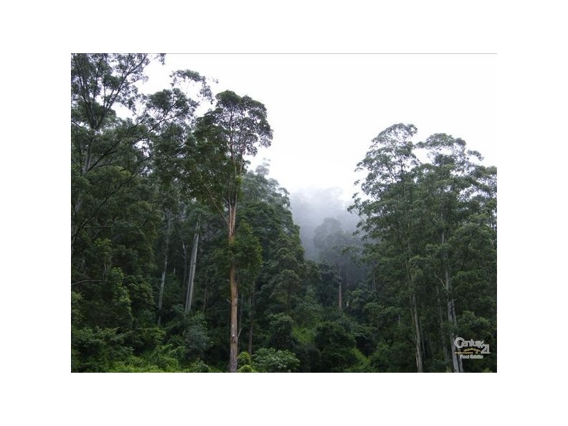 Loadstone NSW 2474