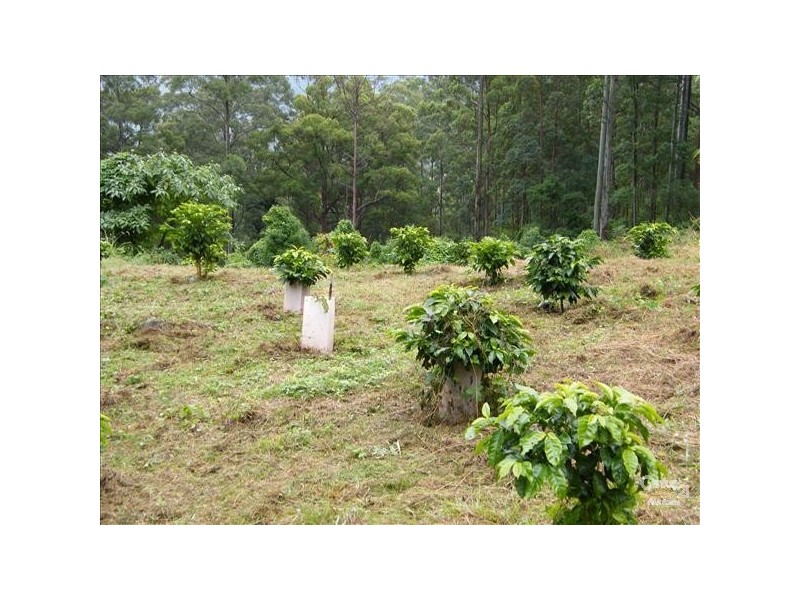 Loadstone NSW 2474