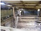 Kyogle NSW 2474