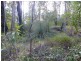 Kyogle NSW 2474