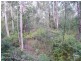 Kyogle NSW 2474
