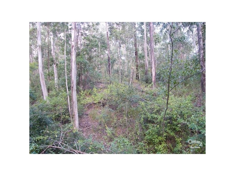 Kyogle NSW 2474