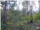 Kyogle NSW 2474