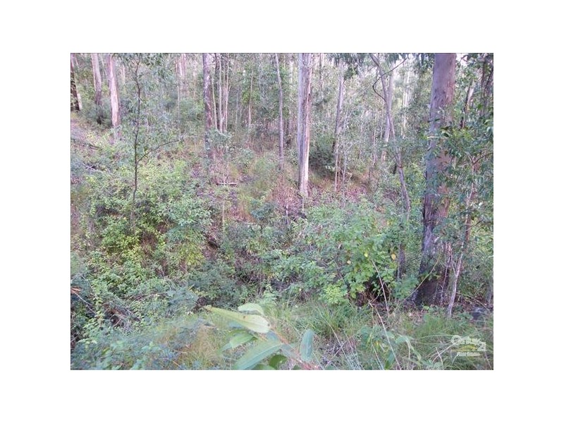 Kyogle NSW 2474