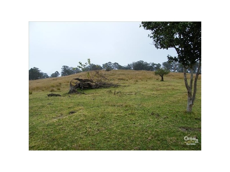 0 Recreation Rd, Woodenbong NSW 2476