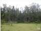 Kyogle NSW 2474