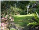1810 Afterlee Road, Kyogle NSW 2474