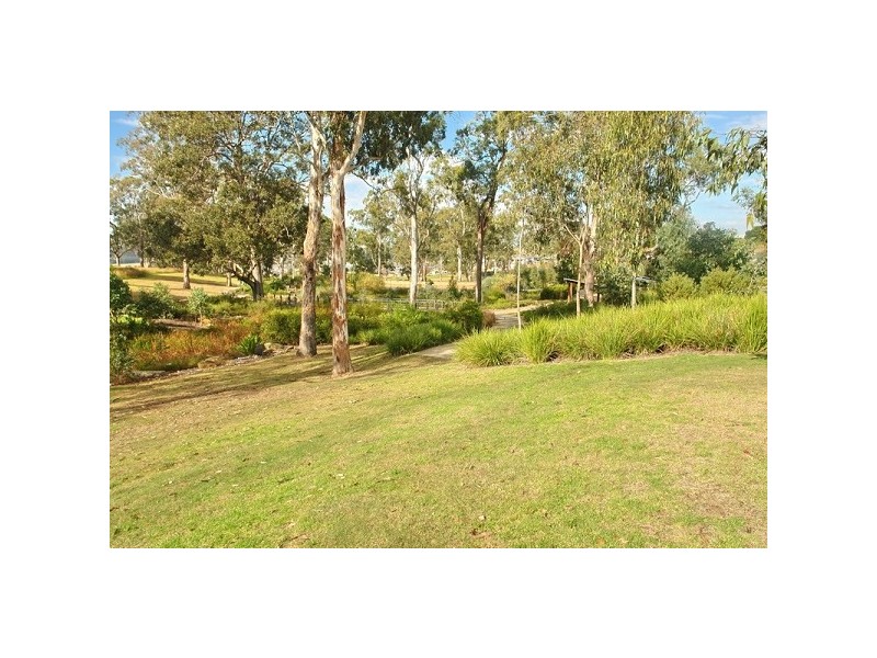 23 Young Avenue, Camden Park NSW 2570