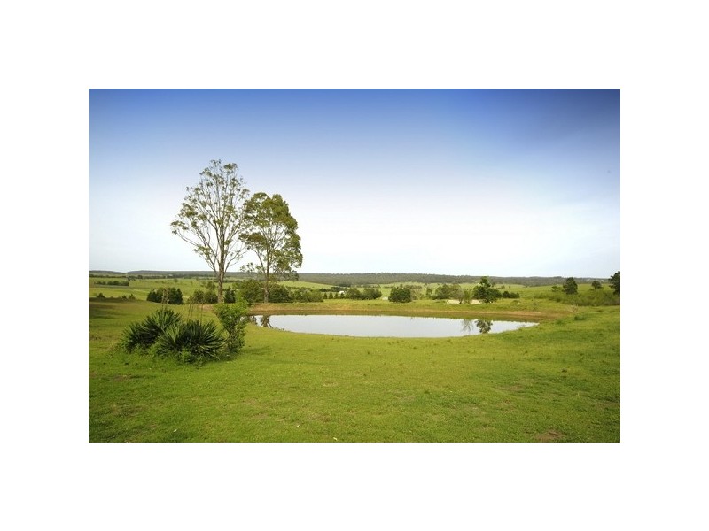 255 Montpelier Drive, The Oaks NSW 2570