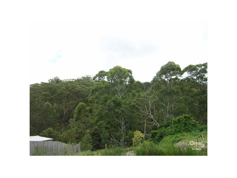 54 Higginbotham Road, Gladesville NSW 2111