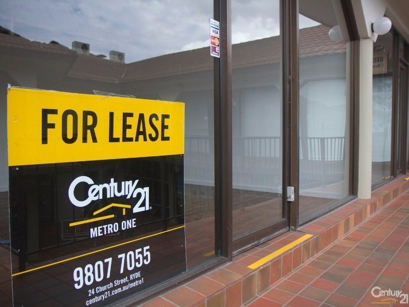 43 Burns Bay Road, Lane Cove NSW 2066