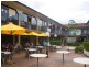 43 Burns Bay Road, Lane Cove NSW 2066