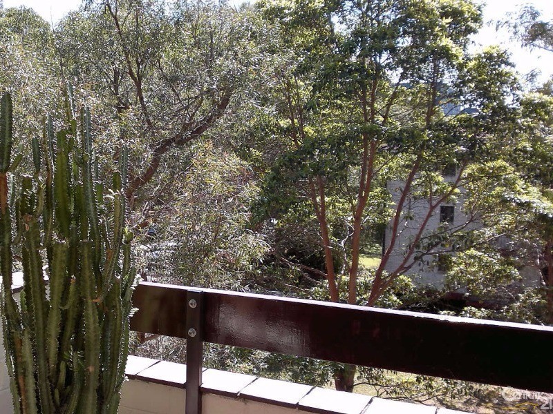 11/10 Cottonwood Cr, Macquarie Park NSW 2113