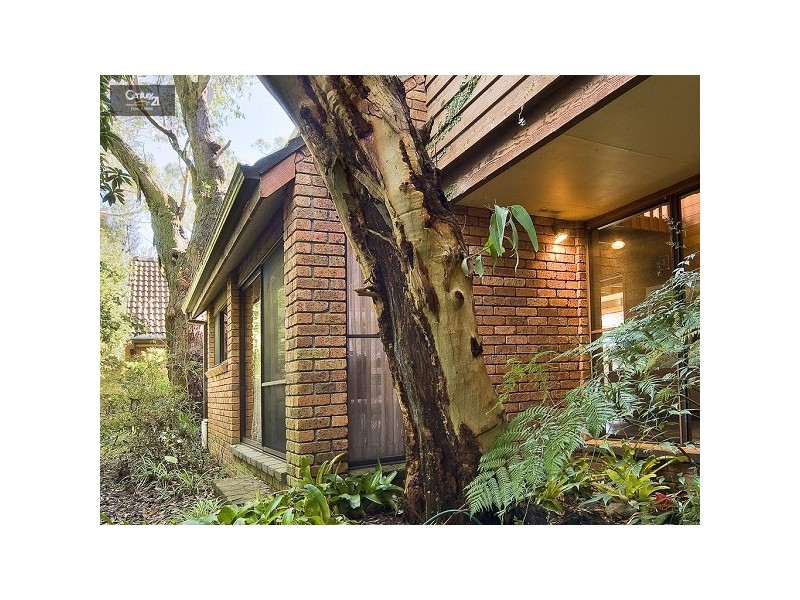 39 Blackbutts Road, Frenchs Forest NSW 2086