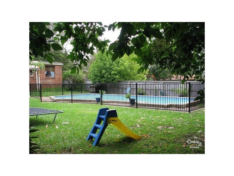 26 Epacris Ave, Forestville NSW 2087