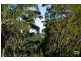103 Arthur, Forestville NSW 2087