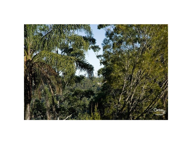 103 Arthur, Forestville NSW 2087